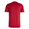 Jersey de fútbol adidas Entrada para hombre
