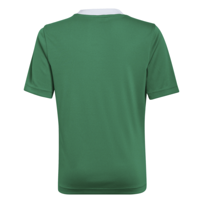 Jersey Entrada 22 adidas - Imagen 3