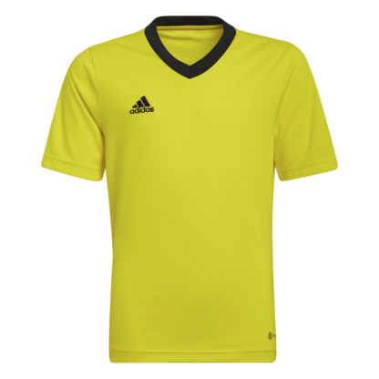 Jersey Entrada 22 adidas