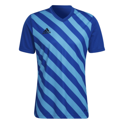 Camiseta Entrada 22 Graphic adidas