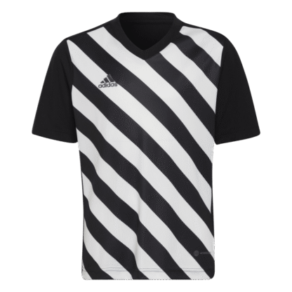 Camiseta Entrada 22 Graphic adidas