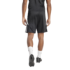Shorts entrenamiento Tiro 24 adidas - Imagen 5