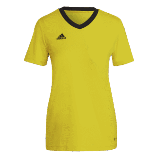 Camiseta Entrada 22 adidas