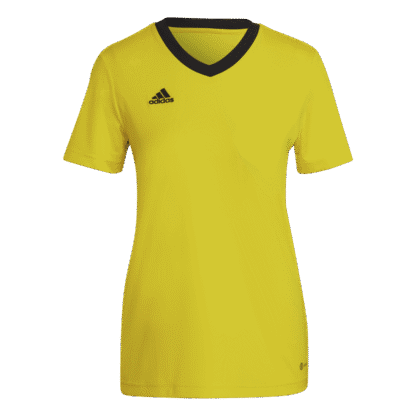 Camiseta Entrada 22 adidas