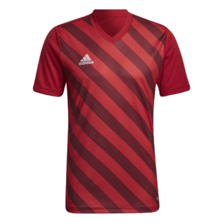 Camiseta Entrada 22 Graphic adidas