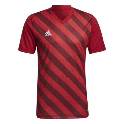 Camiseta Entrada 22 Graphic adidas