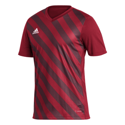 Camiseta Entrada 22 Graphic adidas - Imagen 2