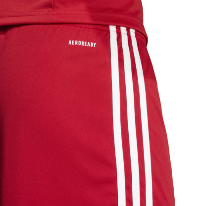 SQUADRA25 SHORTS adidas - Imagen 9