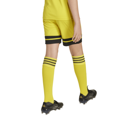 Shorts Squadra 25 Niños adidas - Imagen 5